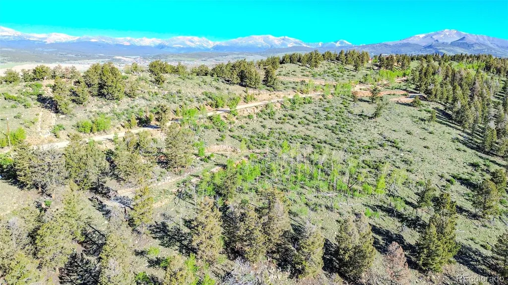 4924 Middle Fork Vista Fairplay CO 80440