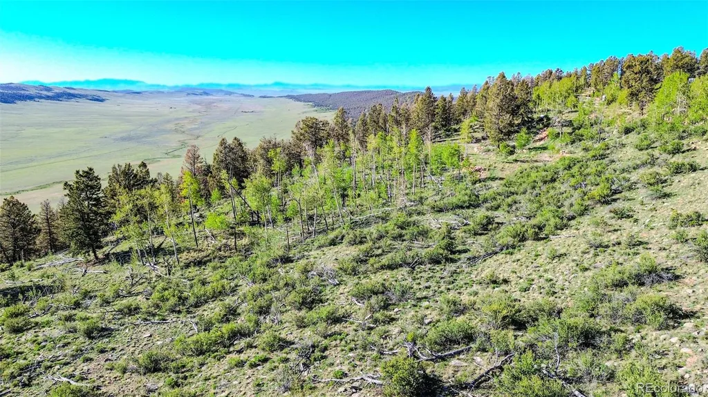 4924 Middle Fork Vista Fairplay CO 80440