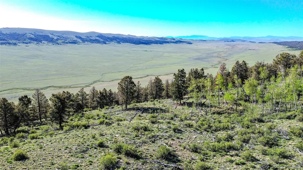 4924 Middle Fork Vista Fairplay CO 80440