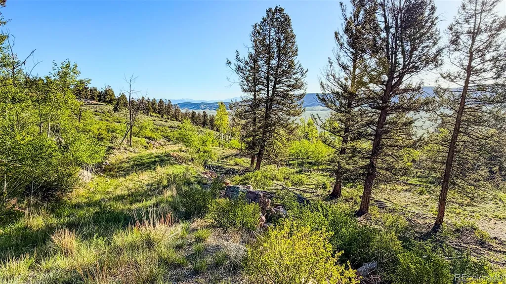 4924 Middle Fork Vista Fairplay CO 80440
