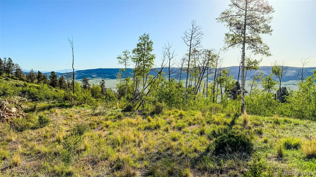 4924 Middle Fork Vista Fairplay CO 80440