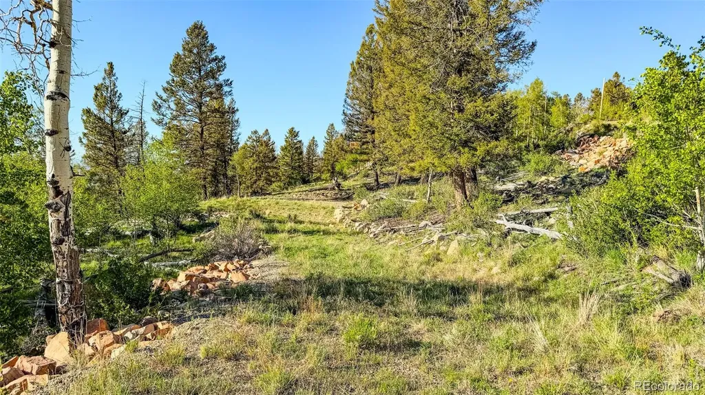 4924 Middle Fork Vista Fairplay CO 80440