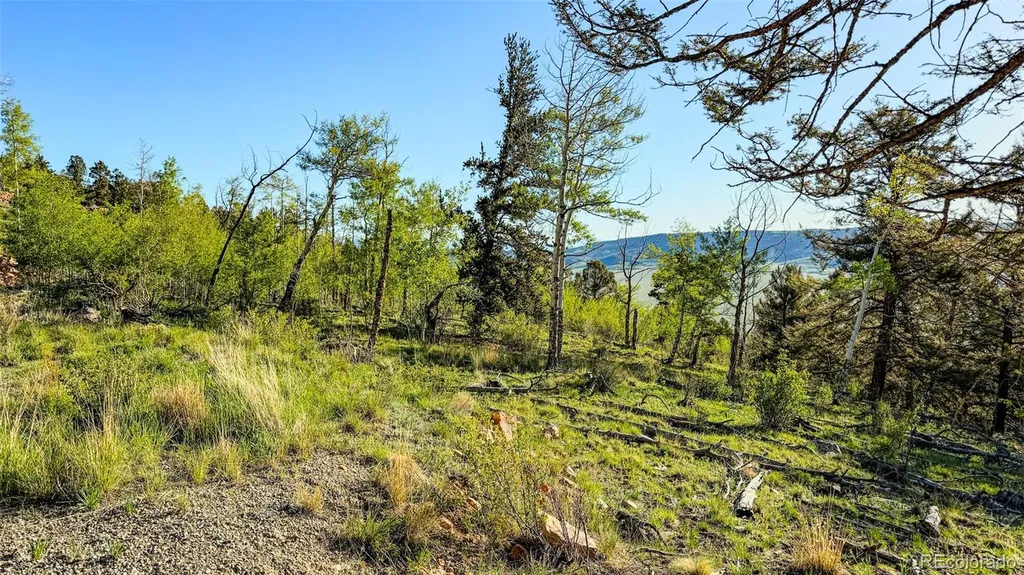 4924 Middle Fork Vista Fairplay CO 80440