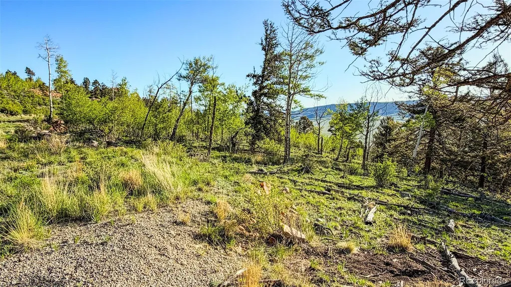 4924 Middle Fork Vista Fairplay CO 80440