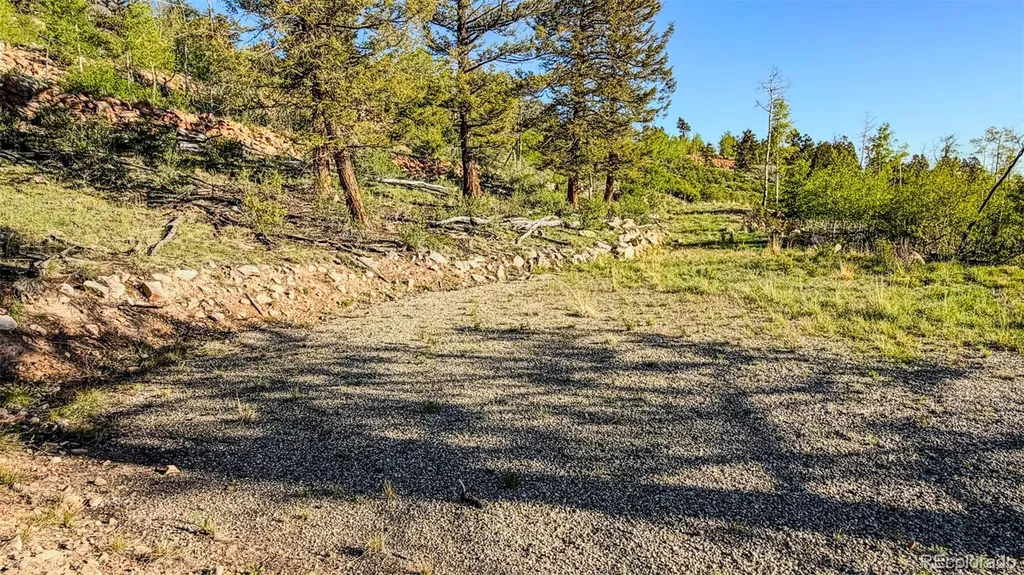 4924 Middle Fork Vista Fairplay CO 80440