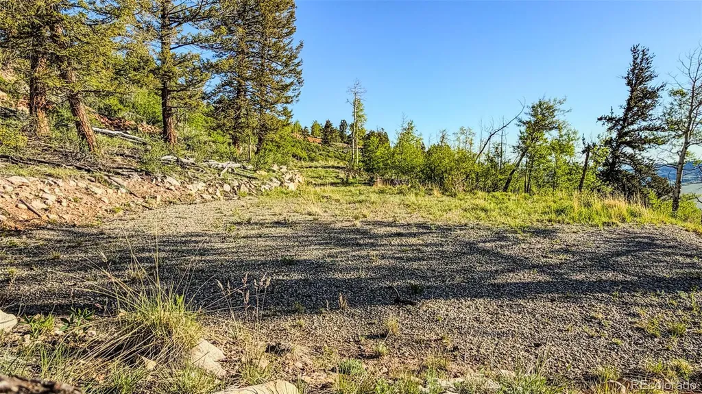 4924 Middle Fork Vista Fairplay CO 80440