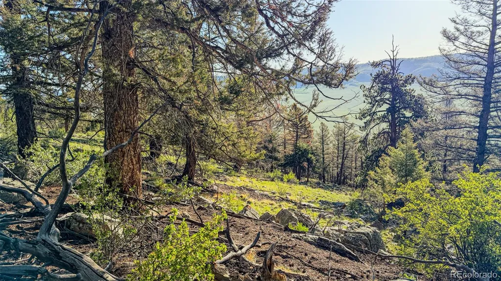 4924 Middle Fork Vista Fairplay CO 80440