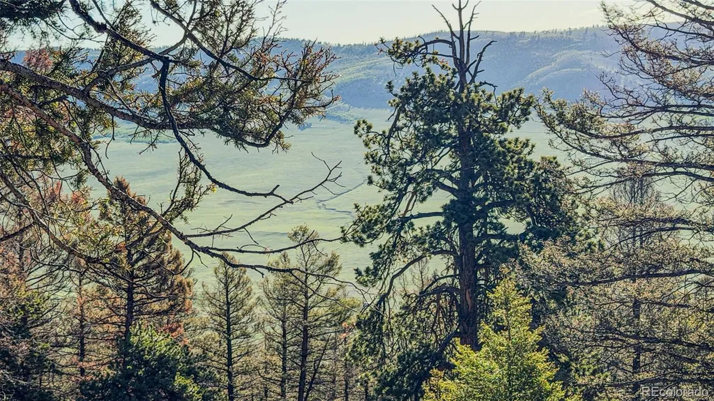 4924 Middle Fork Vista Fairplay CO 80440