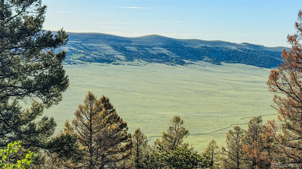 4924 Middle Fork Vista Fairplay CO 80440