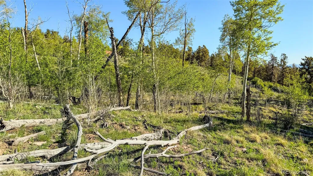 4924 Middle Fork Vista Fairplay CO 80440