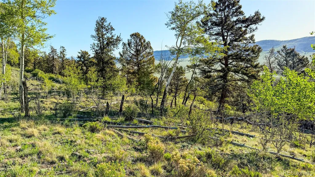 4924 Middle Fork Vista Fairplay CO 80440