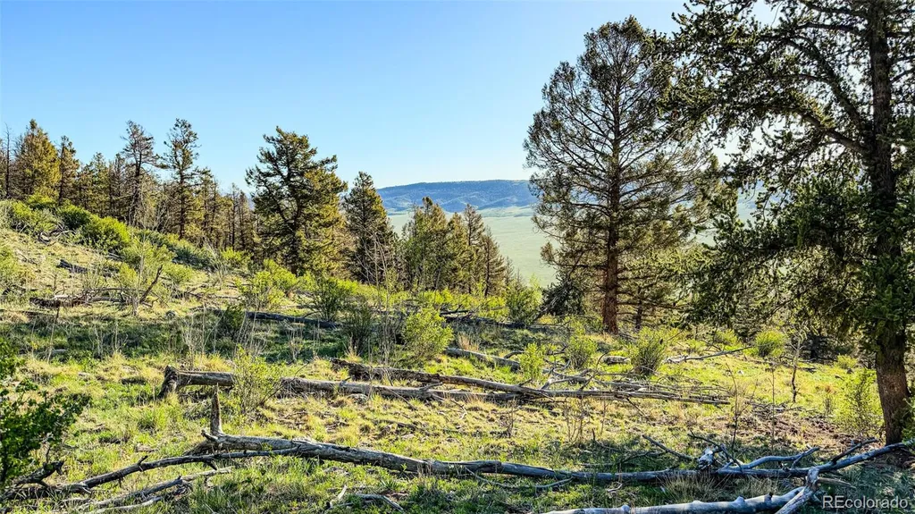 4924 Middle Fork Vista Fairplay CO 80440