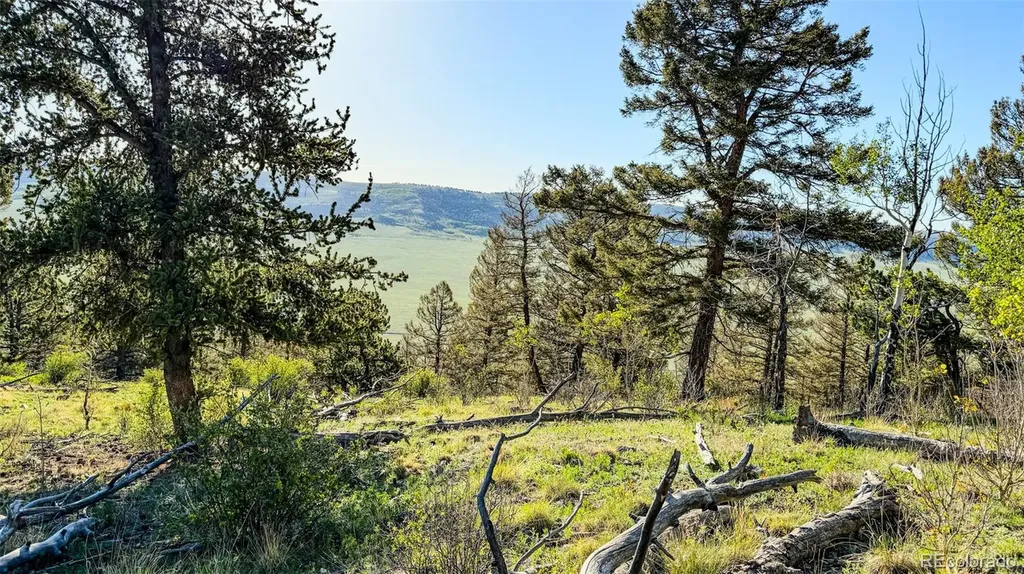 4924 Middle Fork Vista Fairplay CO 80440