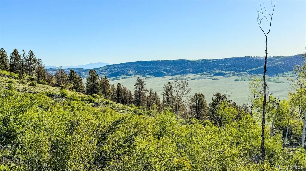 4924 Middle Fork Vista Fairplay CO 80440