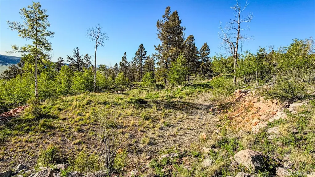4924 Middle Fork Vista Fairplay CO 80440