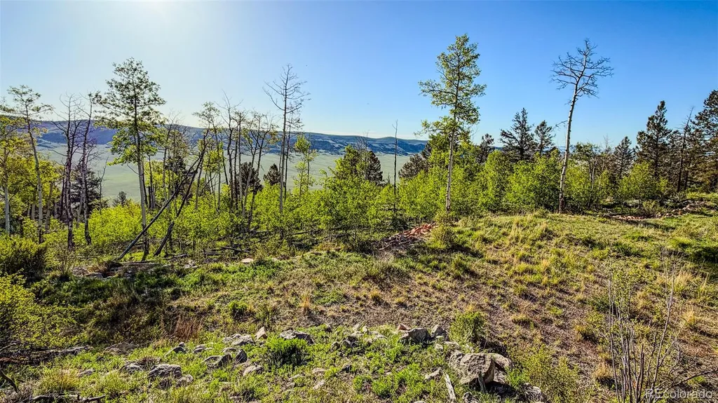 4924 Middle Fork Vista Fairplay CO 80440
