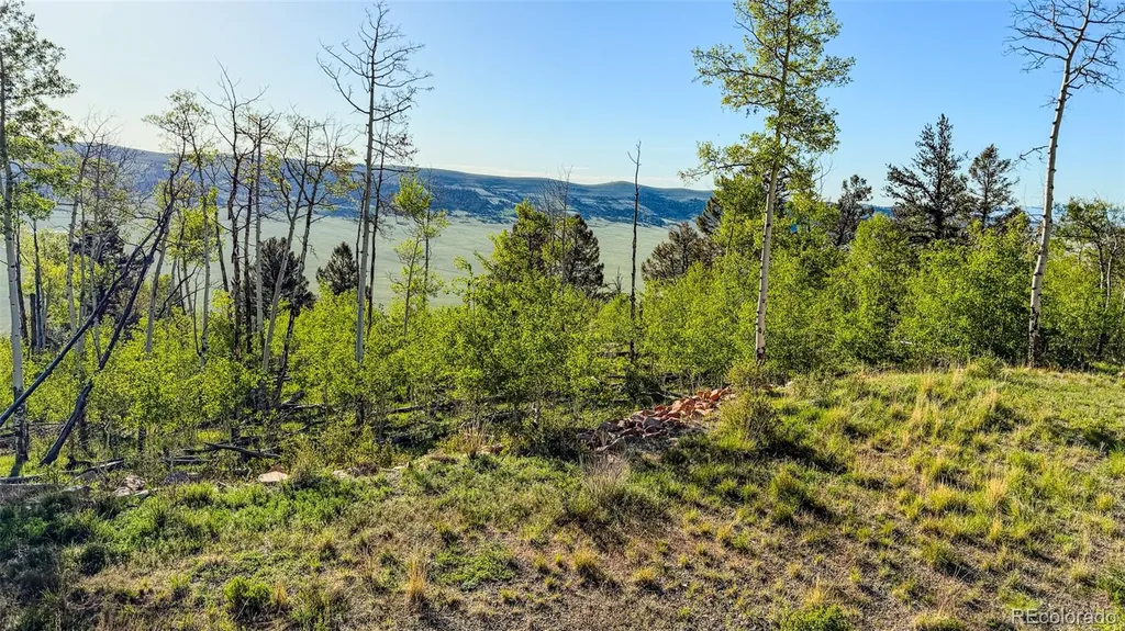 4924 Middle Fork Vista Fairplay CO 80440