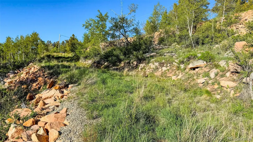 4924 Middle Fork Vista Fairplay CO 80440