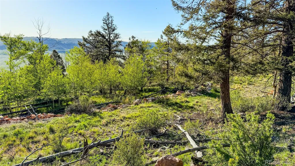 4924 Middle Fork Vista Fairplay CO 80440