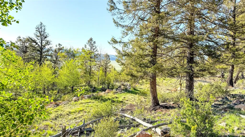 4924 Middle Fork Vista Fairplay CO 80440
