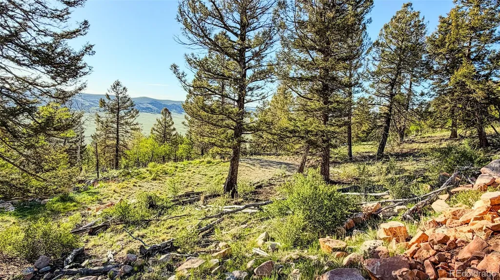 4924 Middle Fork Vista Fairplay CO 80440