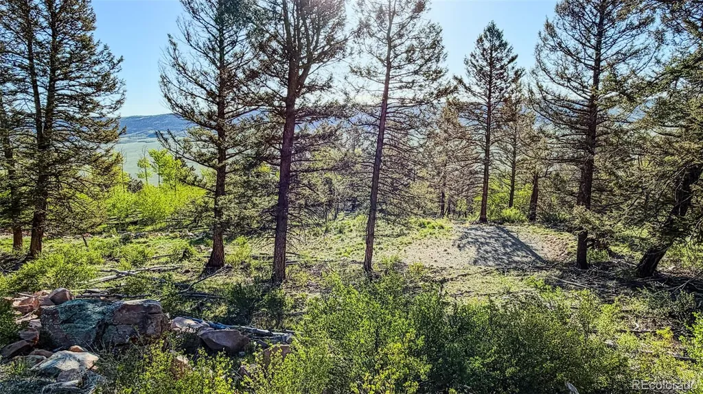 4924 Middle Fork Vista Fairplay CO 80440