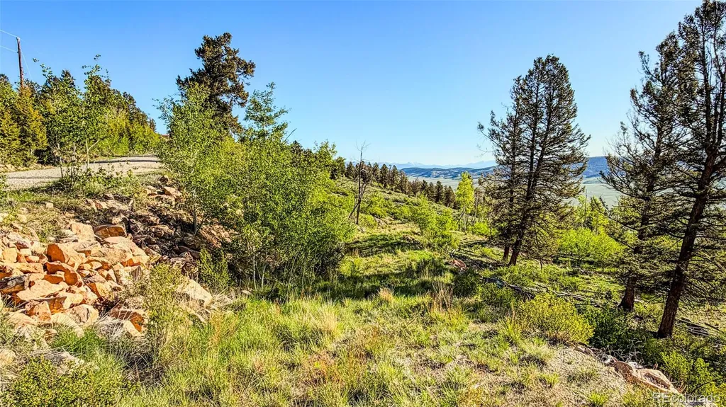 4924 Middle Fork Vista Fairplay CO 80440