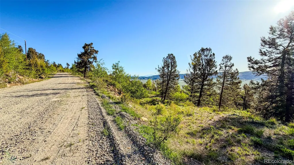 4924 Middle Fork Vista Fairplay CO 80440