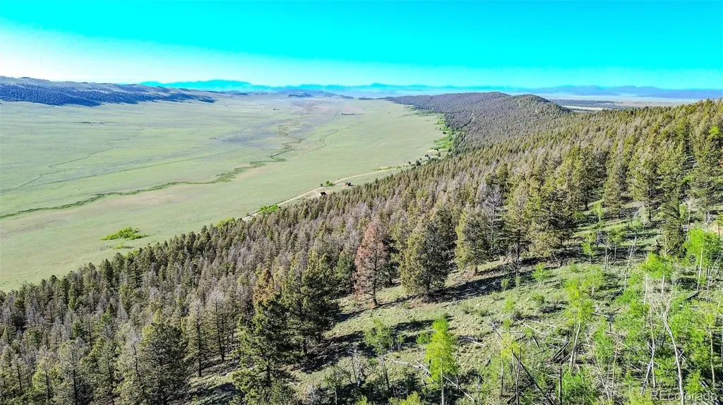 4924 Middle Fork Vista Fairplay CO 80440