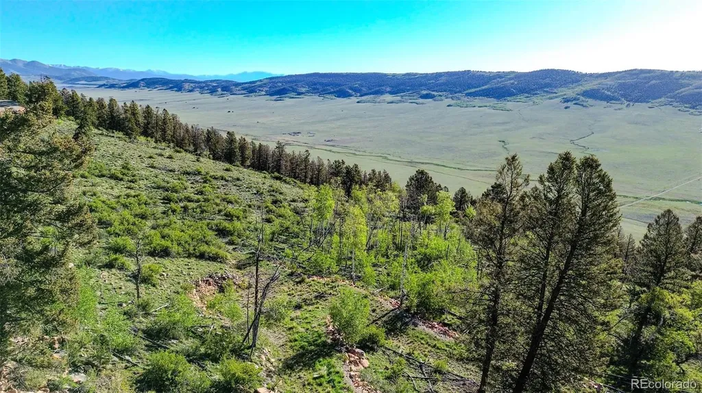 4924 Middle Fork Vista Fairplay CO 80440