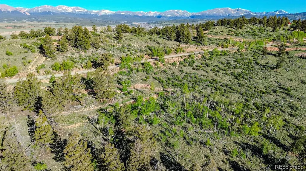 4924 Middle Fork Vista Fairplay CO 80440