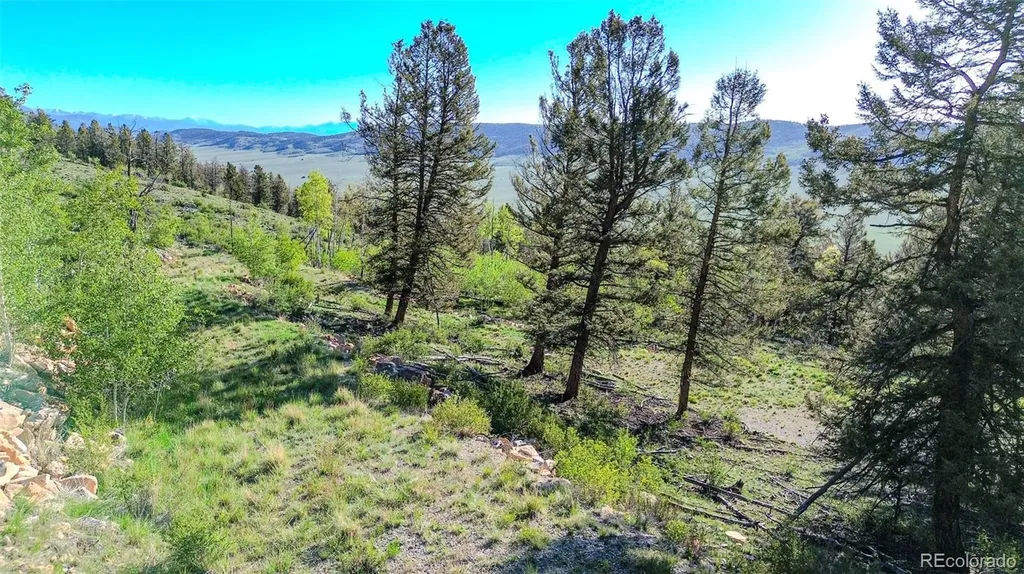 4924 Middle Fork Vista Fairplay CO 80440