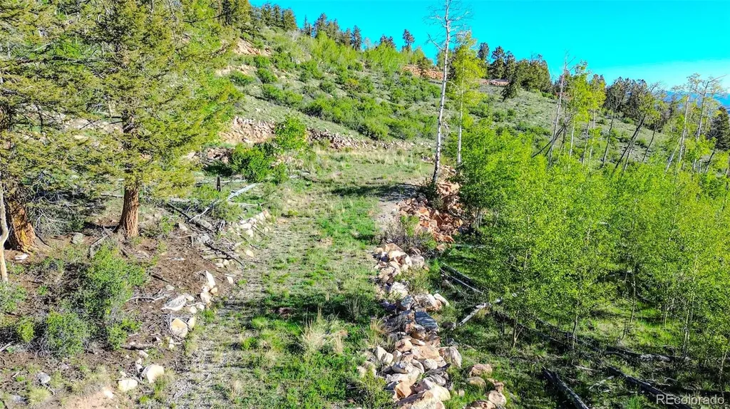 4924 Middle Fork Vista Fairplay CO 80440