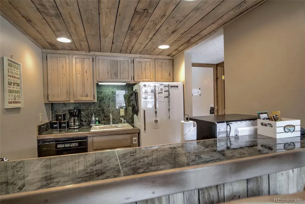 600 S Park Avenue Breckenridge CO 80424