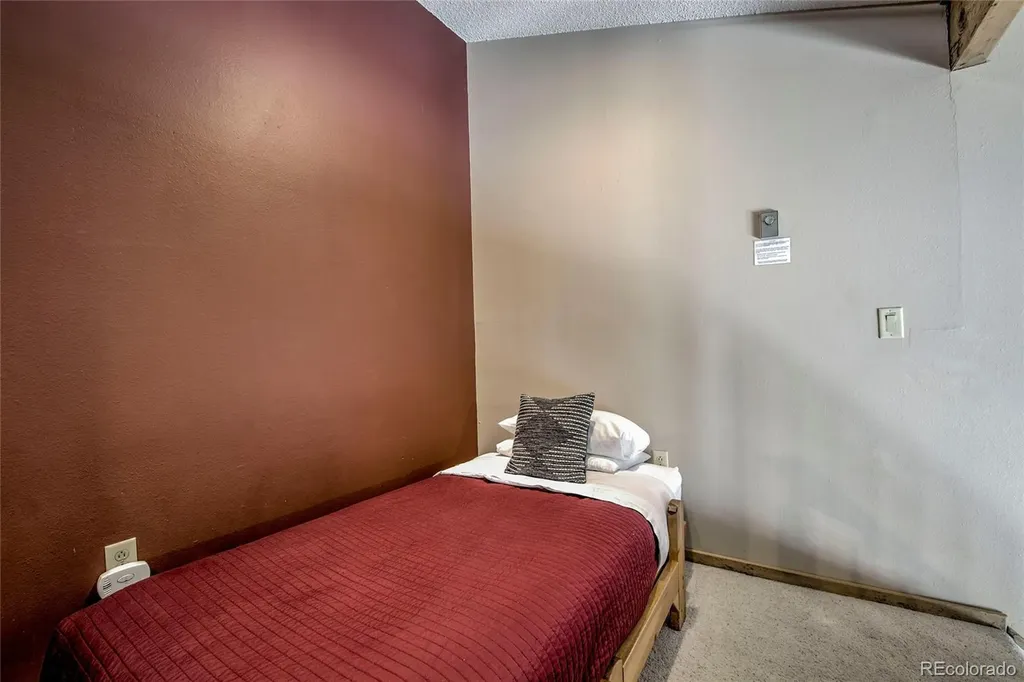 600 S Park Avenue Breckenridge CO 80424