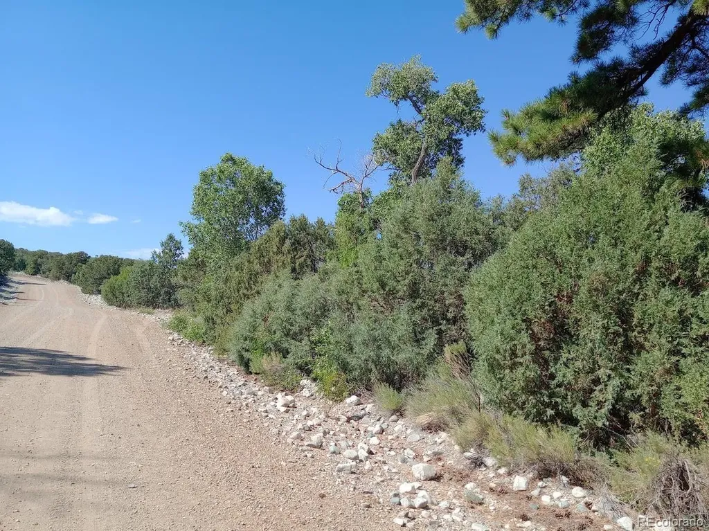 210,212,214 Big Bear Road Mosca CO 81146