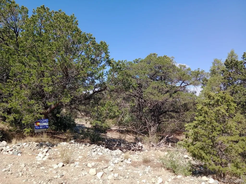 210,212,214 Big Bear Road Mosca CO 81146