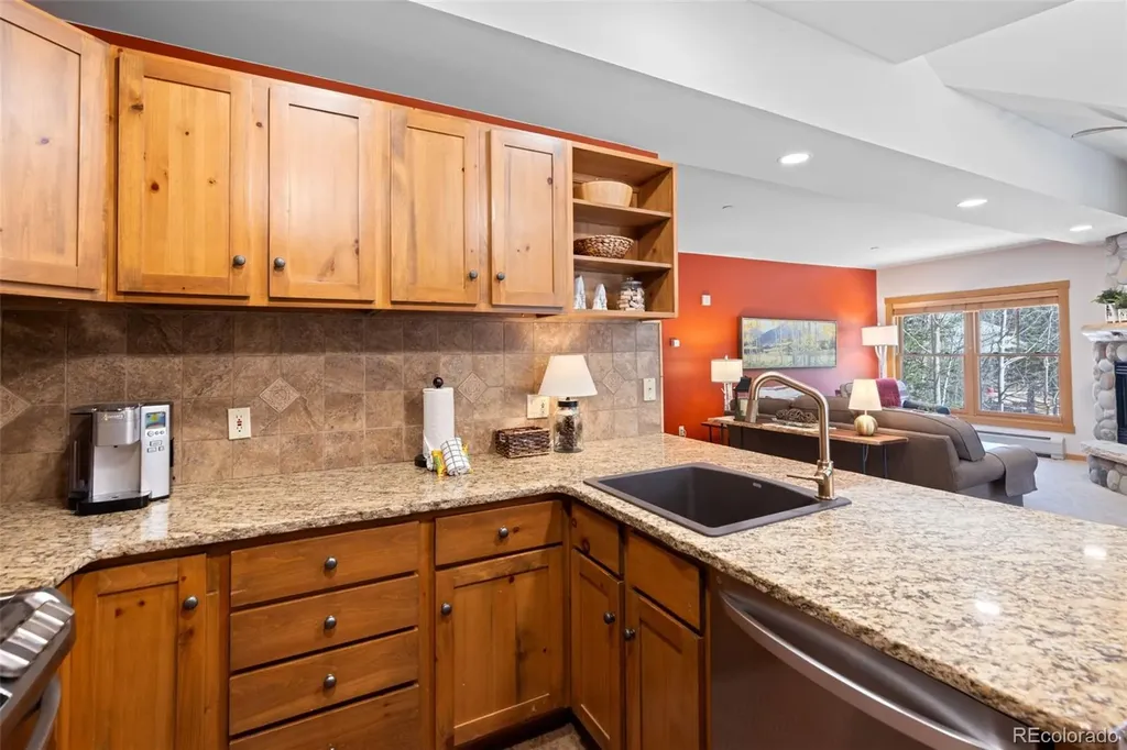 195 River Run Road Keystone CO 80435