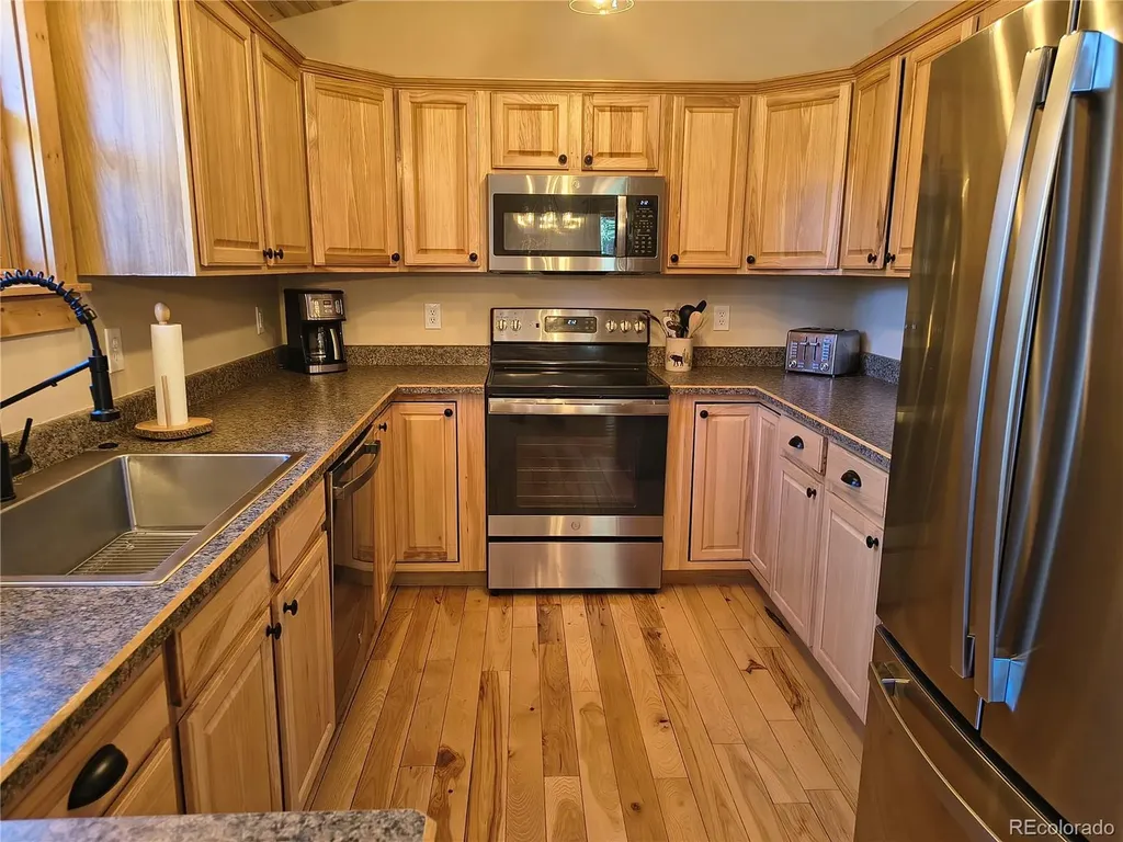 226 Pine Cone Way Fairplay CO 80440
