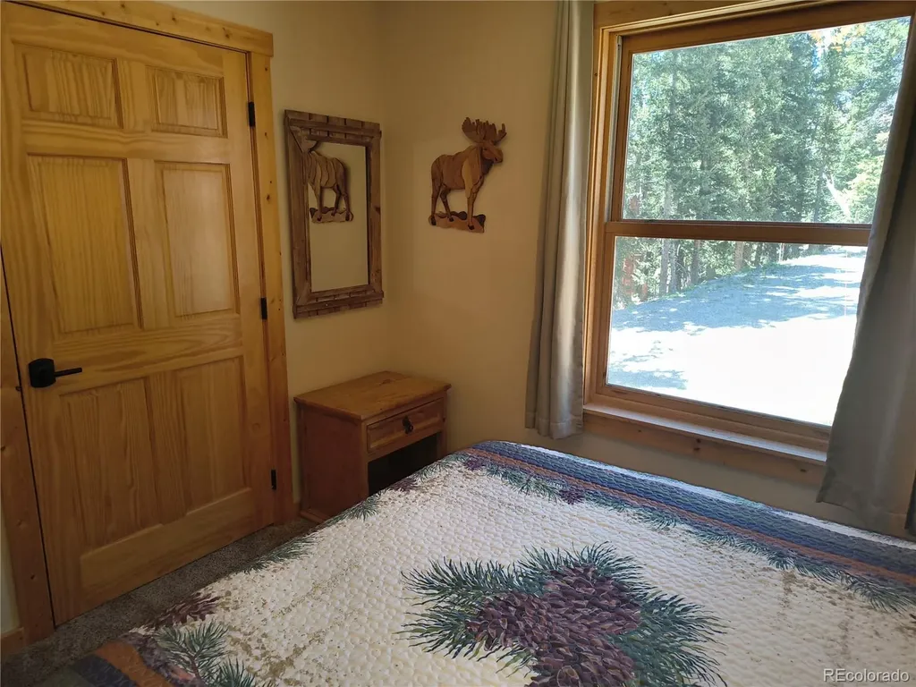 226 Pine Cone Way Fairplay CO 80440