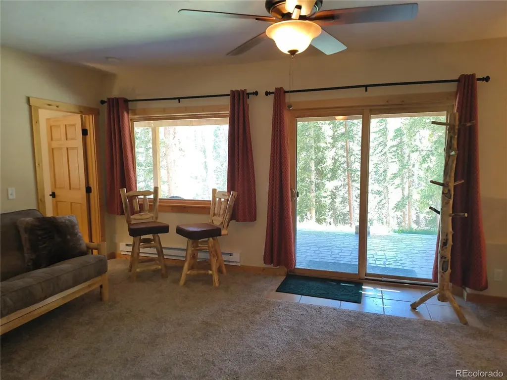 226 Pine Cone Way Fairplay CO 80440