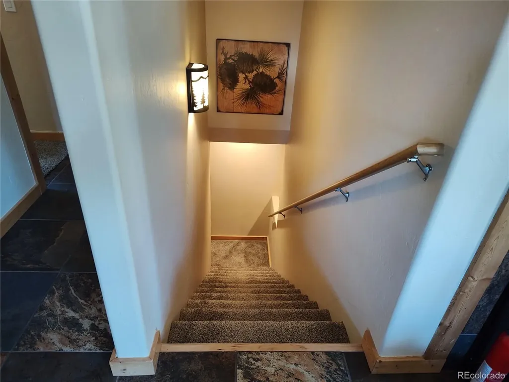 226 Pine Cone Way Fairplay CO 80440