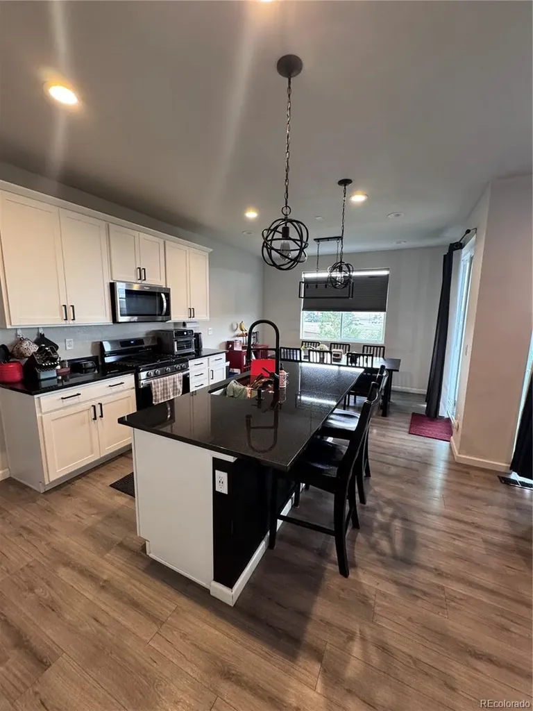 135 Silver Rock Trail Castle Rock CO 80104