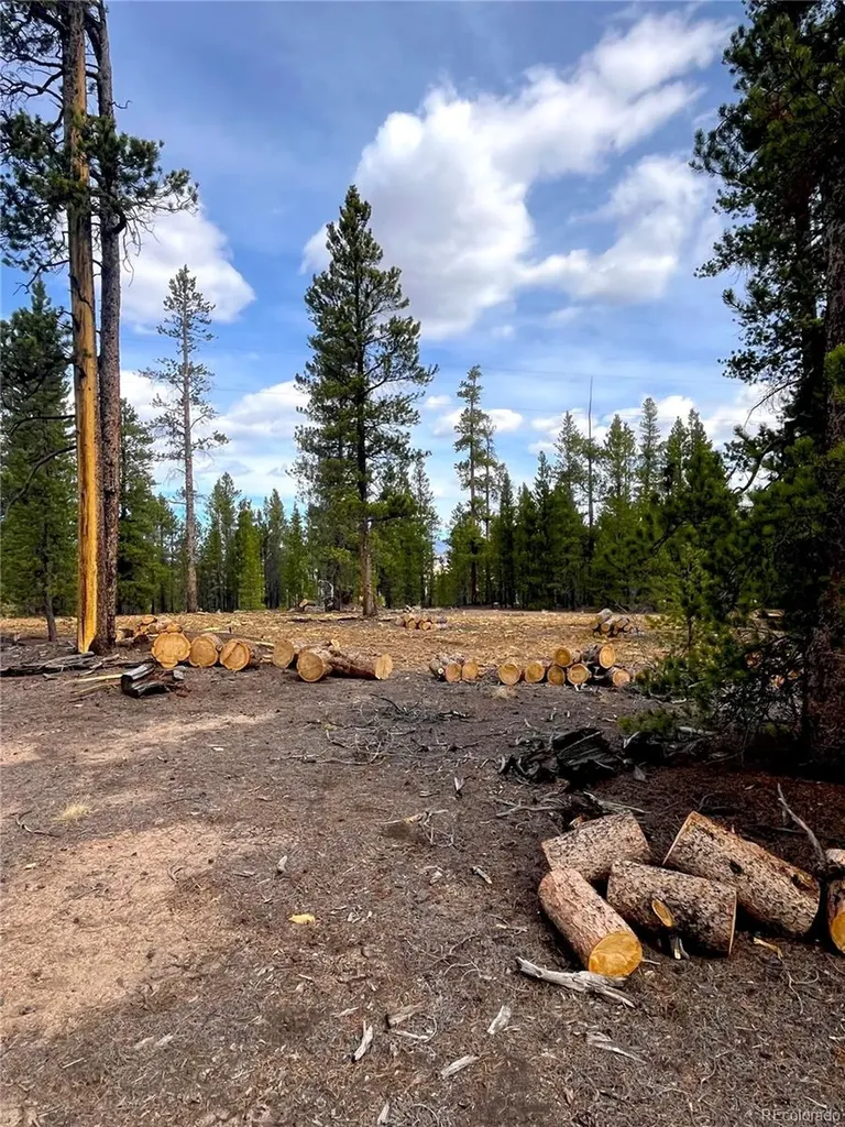 105 Fir Drive Leadville CO 80461