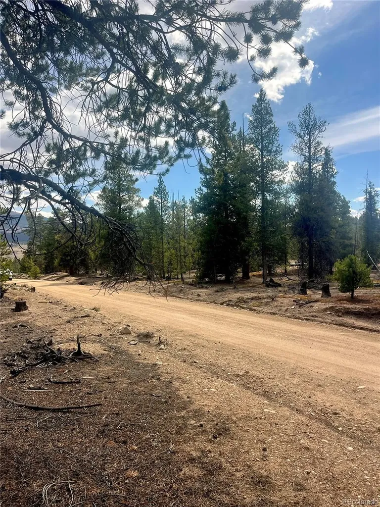 105 Fir Drive Leadville CO 80461