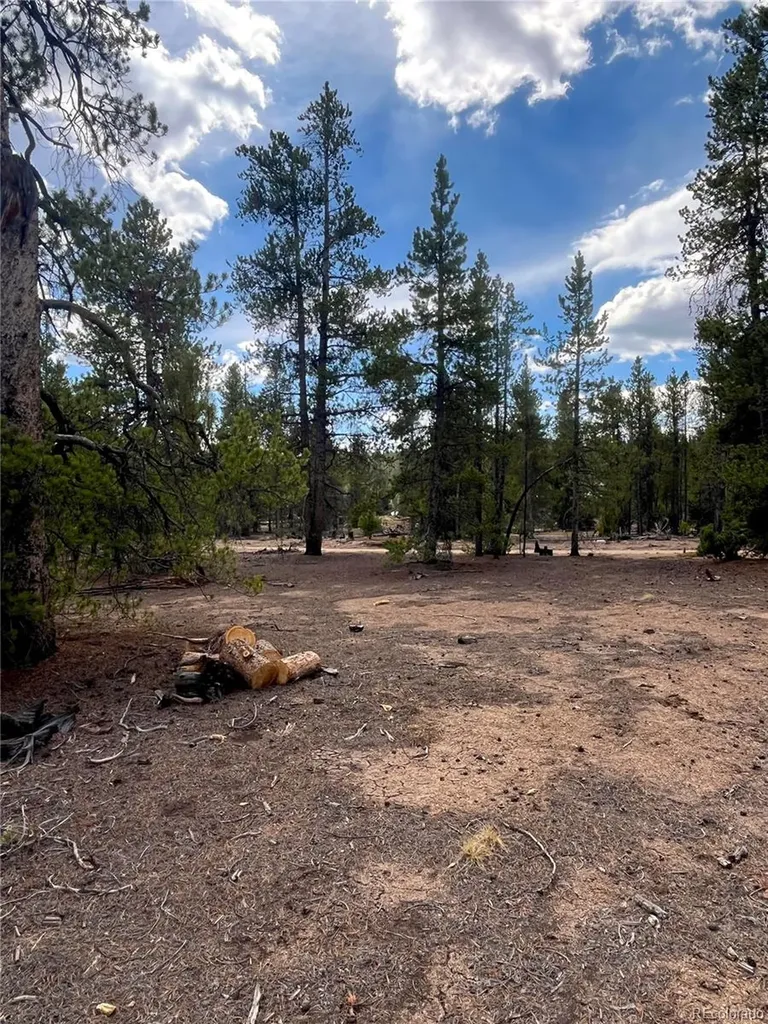 105 Fir Drive Leadville CO 80461