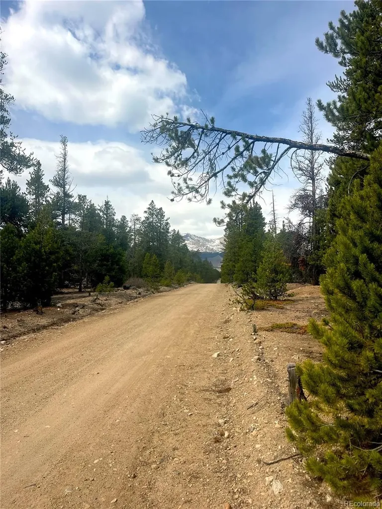 105 Fir Drive Leadville CO 80461
