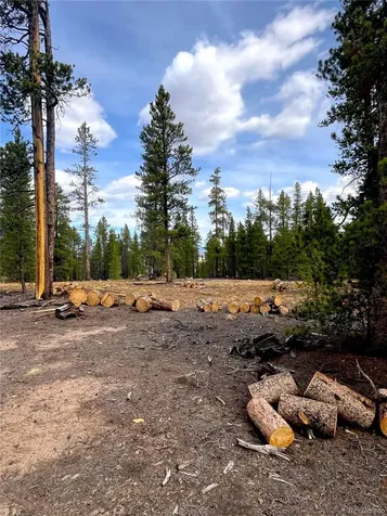105 Fir Drive Leadville CO 80461