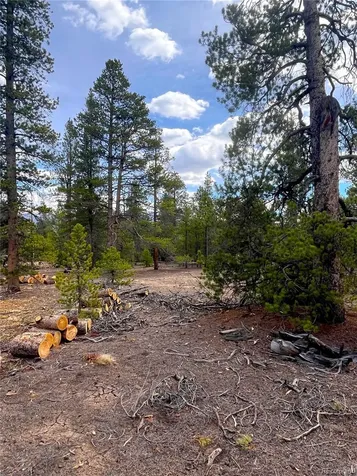 105 Fir Drive Leadville CO 80461