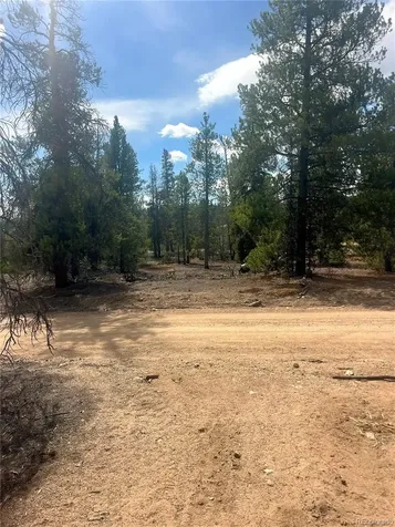 105 Fir Drive Leadville CO 80461
